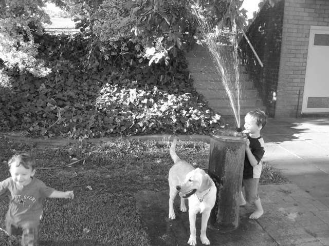 2004-01-01-Robb…rinkler B&W